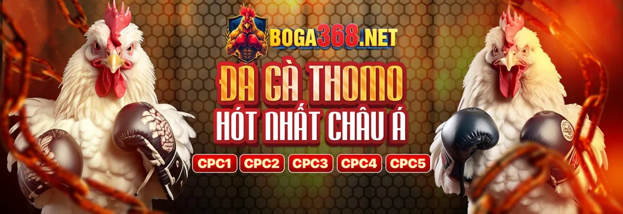 Chương trình VIP độc quyền của 58vin