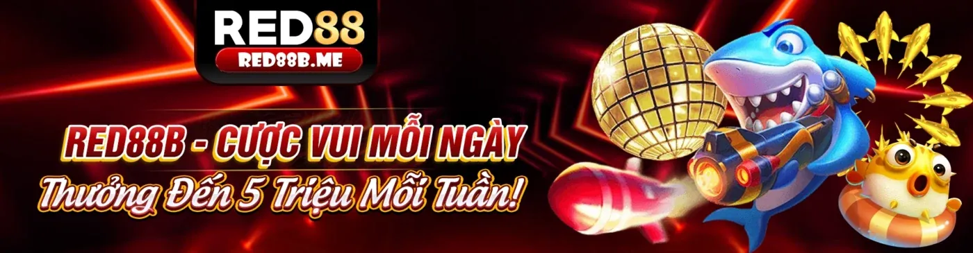 Bước 3: Xác nhận cài đặt cấu hình 58vin